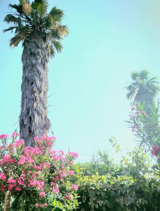 La Casetta Colorata Hotel Catania Exterior photo
